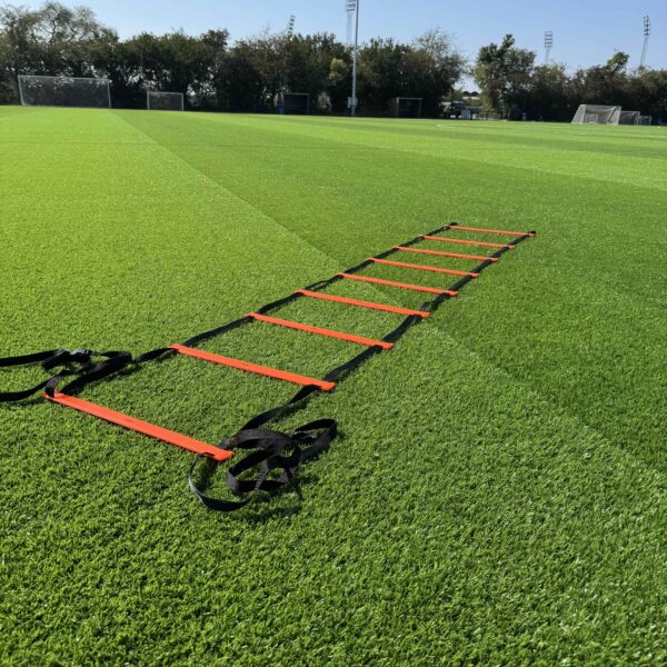 Agility Ladder 1