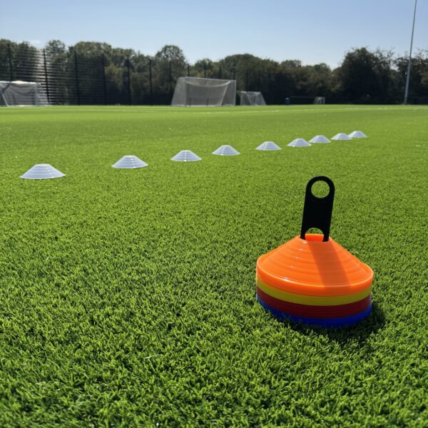 Standard Cones 2